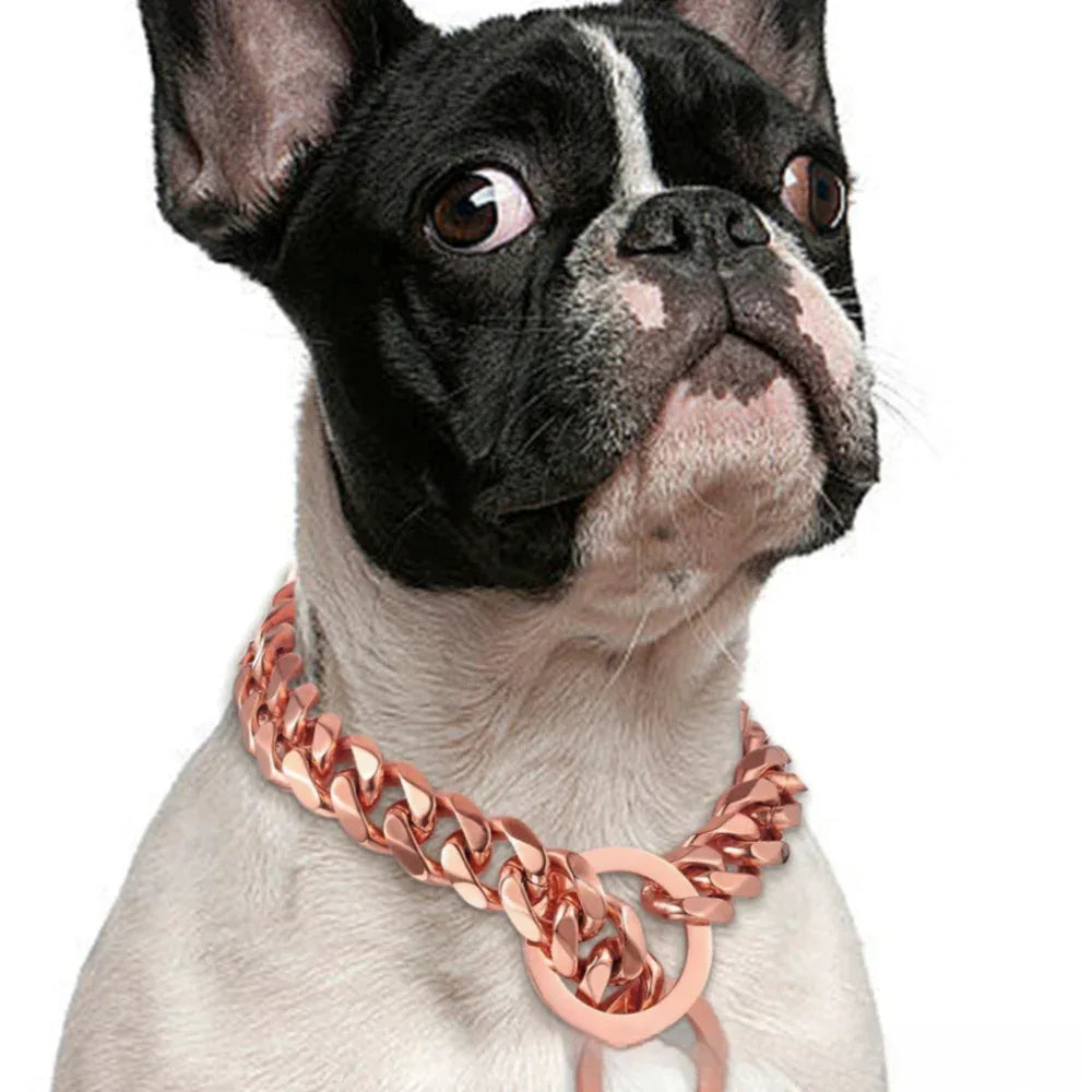 Titan-Stahl Metall Hip Hop Haustier 15mm Gold Edelstahl Hundehalskette