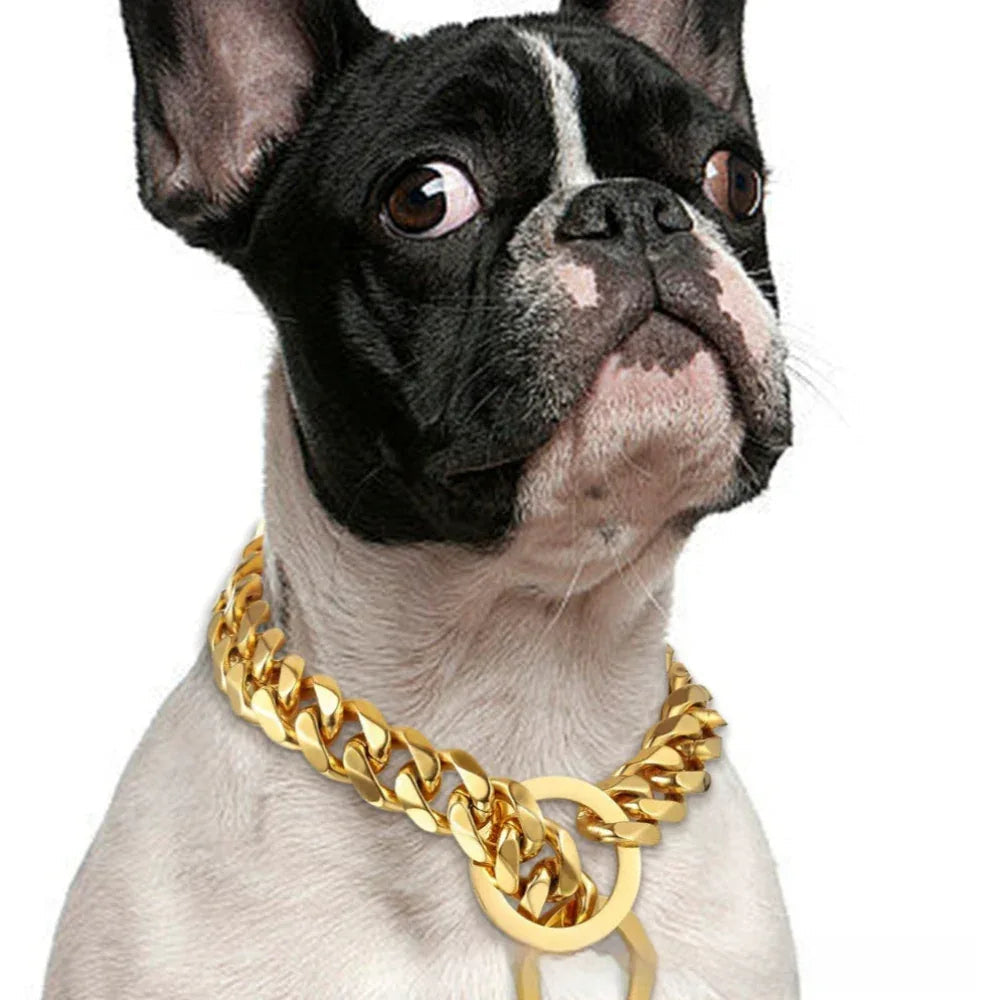 Titan-Stahl Metall Hip Hop Haustier 15mm Gold Edelstahl Hundehalskette