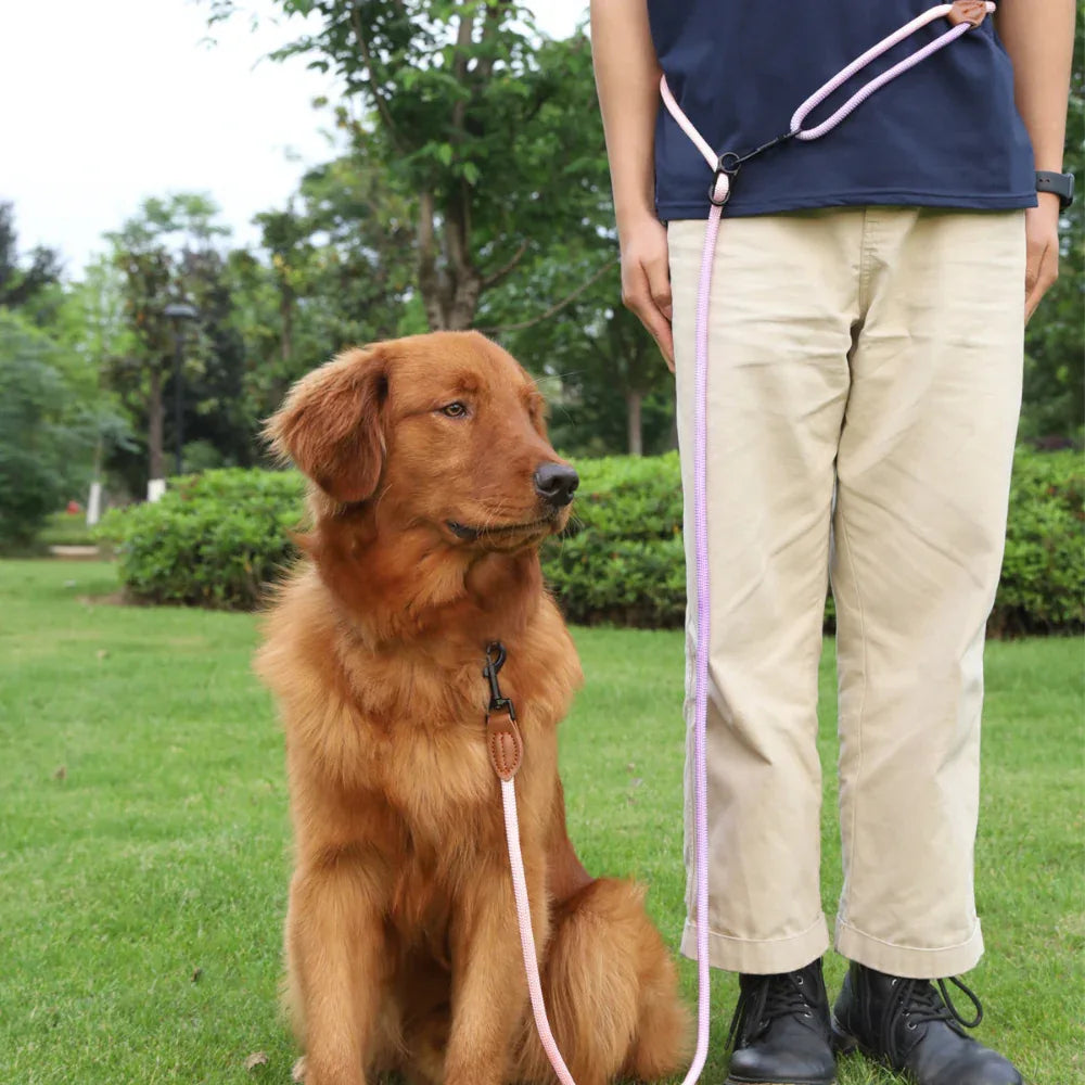 Haustier Hund Katze Geh-Mehrzweck-Reflektierende Seilleine